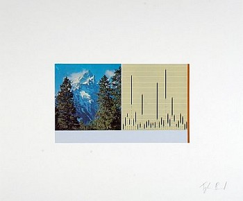 BEARD MountainVersusChart LG