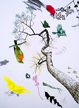 DROSCHER ItsJustADream...ToBeABird LG