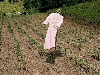 LucasFoglia ANaturalOrder Scarecrow LG