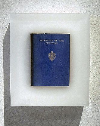 JOHN MCENROE, PATHWAYS OF THE PURITANS
book and resin
