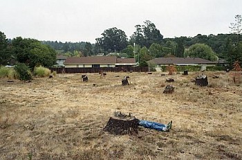 santa rosa,california LG