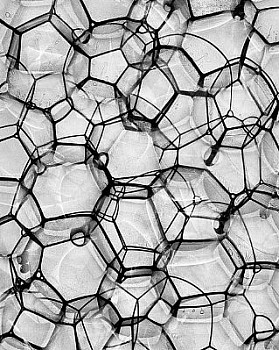web bubble 1 LG