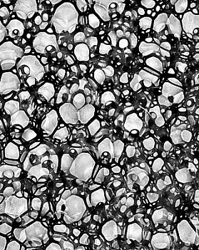 web bubble 7 LG