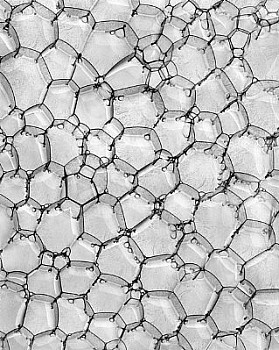 web bubble 8 LG