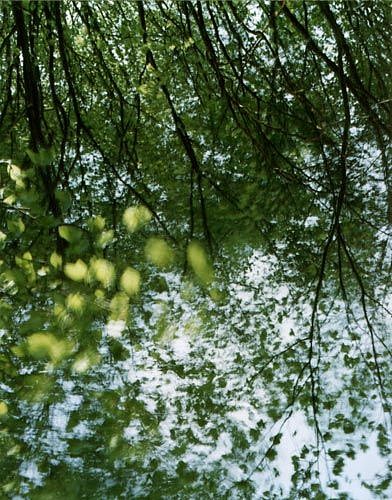 EDIE WINOGRADE, CLEAR AIR (BLUE DIPTYCH)
photograph