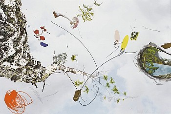 droscher another sky unlearned birch