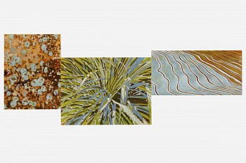 Continental Drift 49x126
