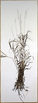 kitchel actualsize2 tallgrass 60 x