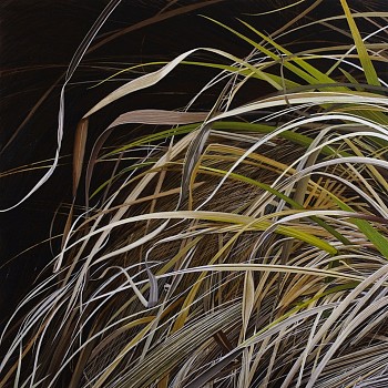 KITCHEL PresentationAndRepresentation1