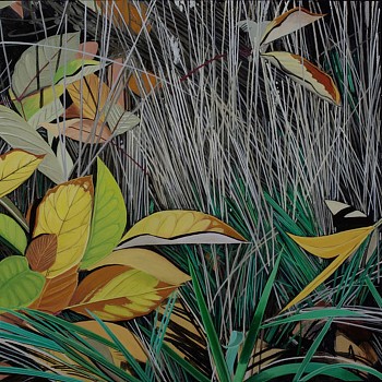 web Dying Grass Autumn