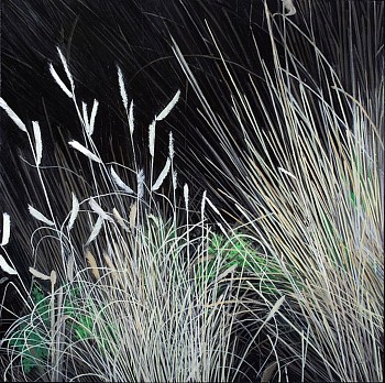 web Dying Grass Autumn