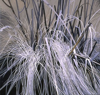 web Dead Grass Early Spring 15