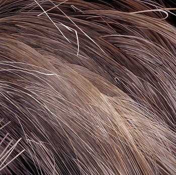 WEB KITCHEL DORMANTGRASS3 30X30