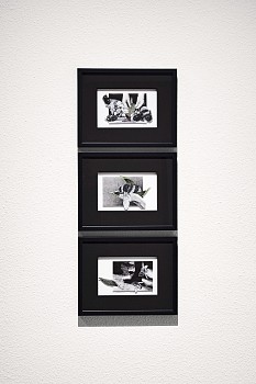 STEERS Triptych 1500px