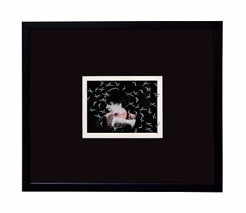 STEERS Nighthunter Framed