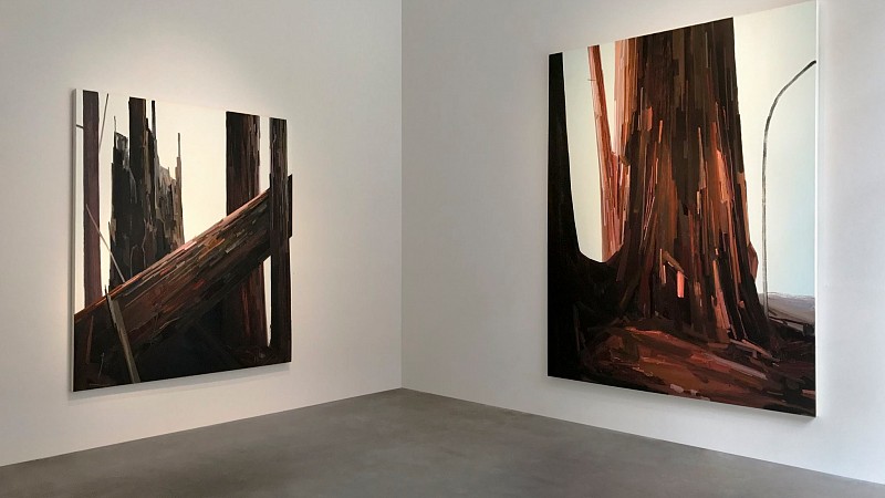 19787137 10154805346798697 2035136381797579601 o