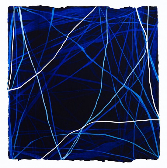 ERIN WIERSMA, EXAMEN, 5/30/2016
acrylic on  paper