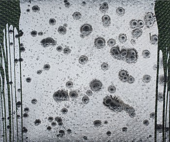 e floaters 2019 45x54 a linen crop