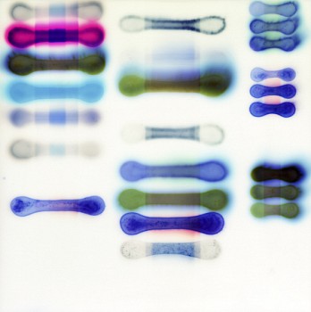 CARTIER SunTest #6 (Day 20 37x37ea