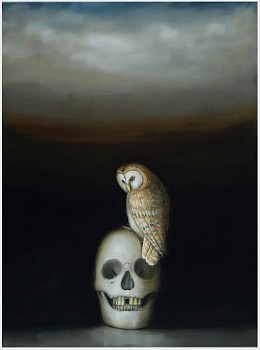 owl skull