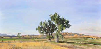 cottonwoods 24 x 48 in.jpeg