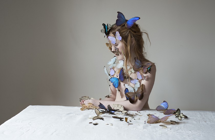 KRISTEN HATGI SINK, BUTTERFLIES
pigment print