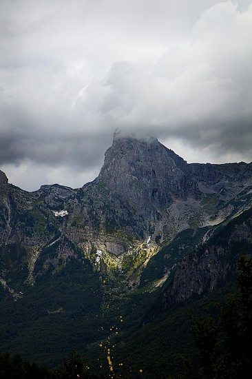 ELENA DORFMAN, TRANSMUTATION 4 (GREEN VALLEY) Ed. 6
chromogenic print with mixed media mounted on Dibond