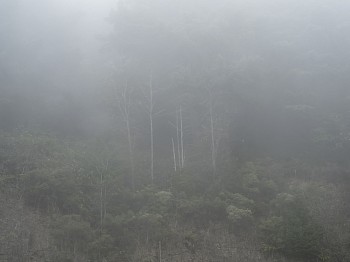 kevin m. o&Atilde;&cent;&acirc;&not;&acirc;&cent;connell