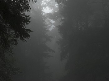 kevin m. o&Atilde;&cent;&acirc;&not;&acirc;&cent;connell