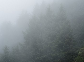 kevin m. o&Atilde;&cent;&acirc;&not;&acirc;&cent;connell