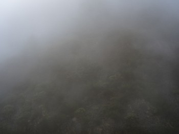 kevin m. o&Atilde;&cent;&acirc;&not;&acirc;&cent;connell