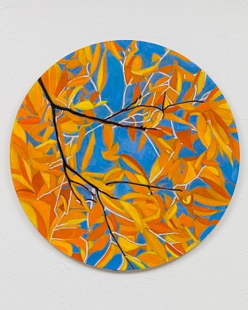 bumiller elm 24x24.jpeg