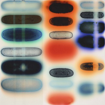 jaqchartier study turq orange 5x5