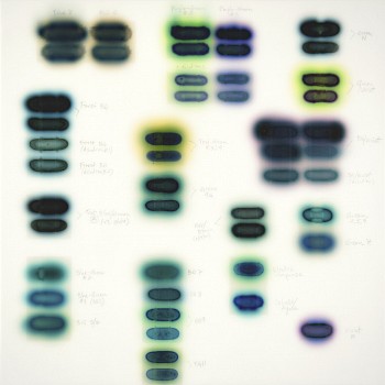 jaqchartier study blue greens 12x12