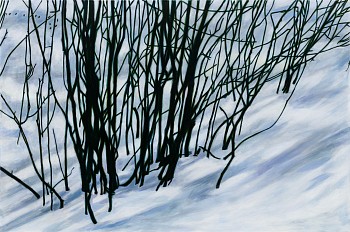 bumiller dark willow 48x72.jpeg