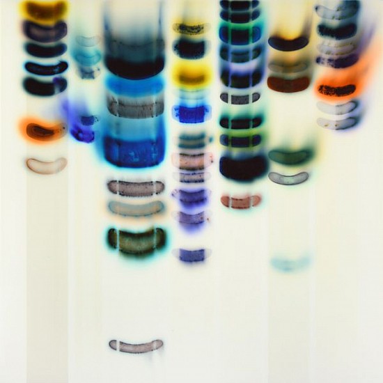 JAQ CHARTIER, WINTER INFUSION
acrylic, ink, dyes, stains and spray paint on wood panel