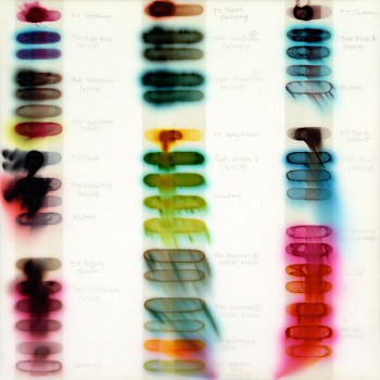 small study july 12x12 600px